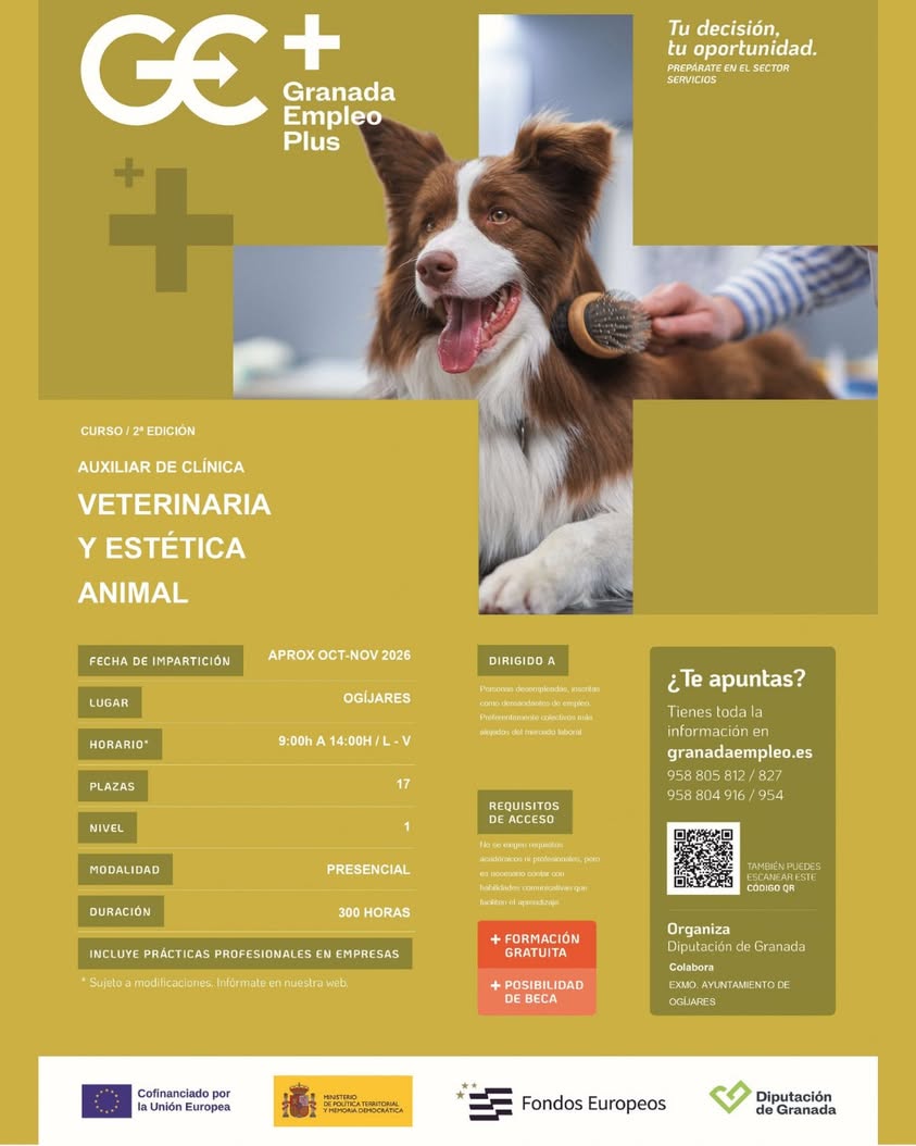 Curso gratuito de auxiliar de clínica veterinaria